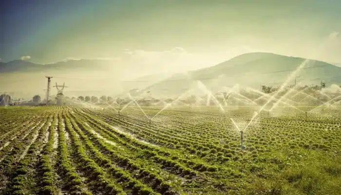 irrigação por gravidade