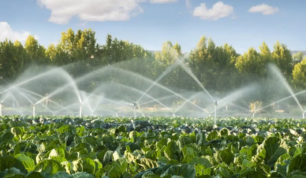 irrigação de jardim