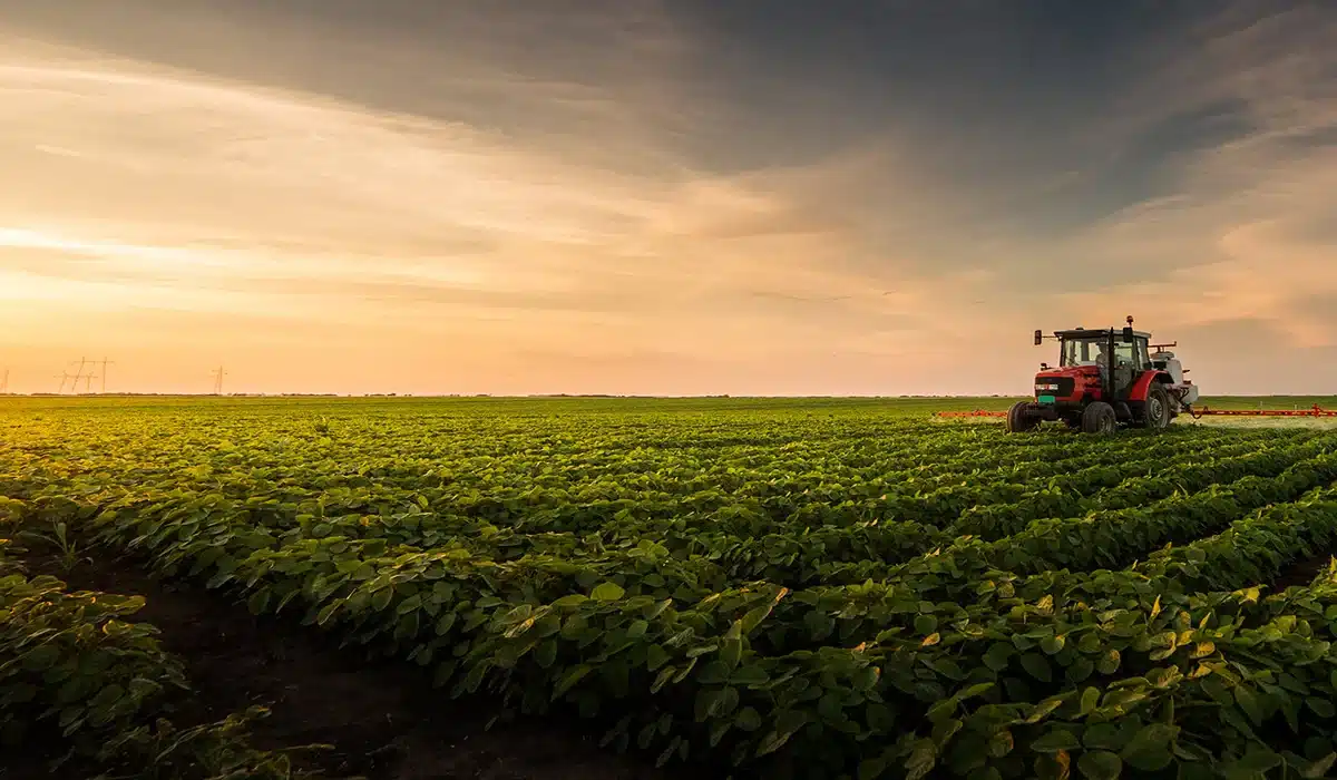 tipos de agricultura