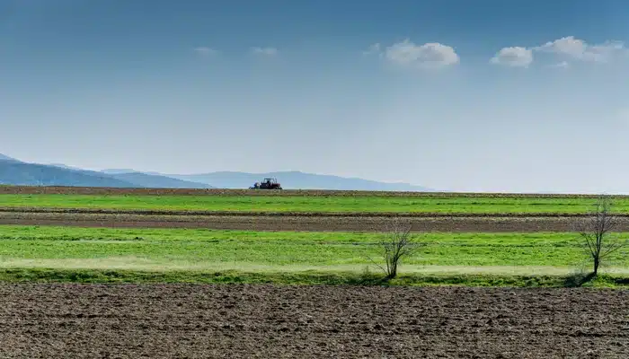 tipos de plantio na agricultura