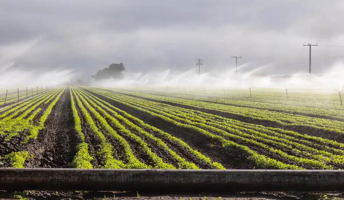 tipos de agricultura