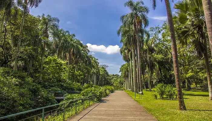 jardim botânico são paulo