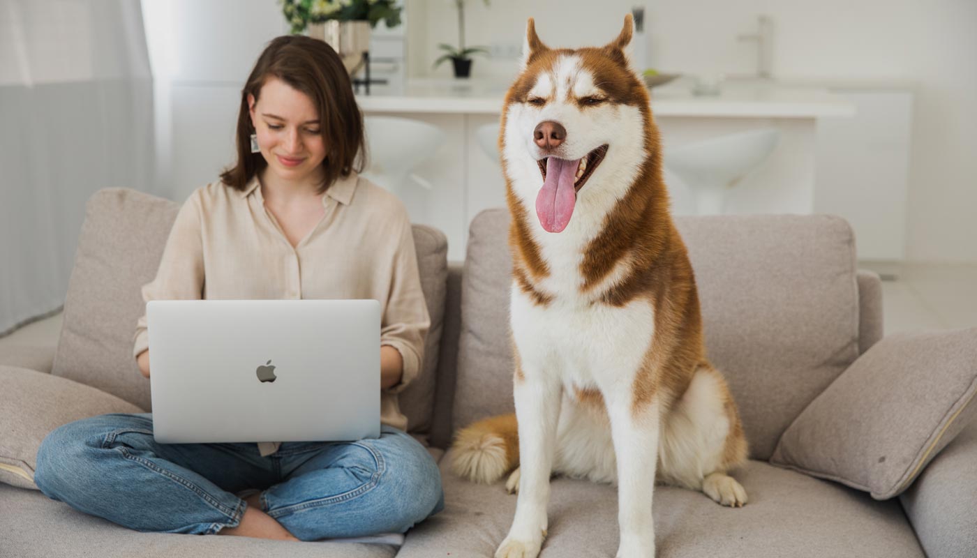 cartões de créditos para comprar em petshop