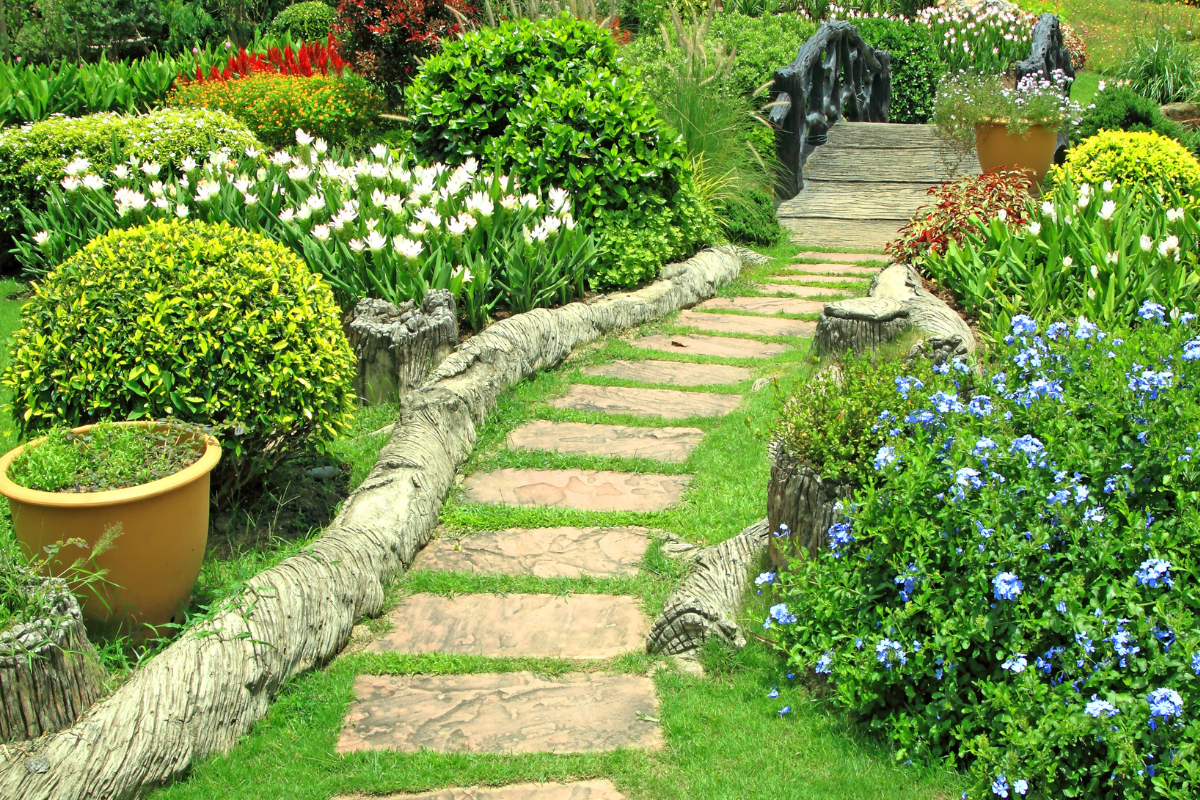 Benefícios de usar plantas de jardim que não precisam de muita manutenção