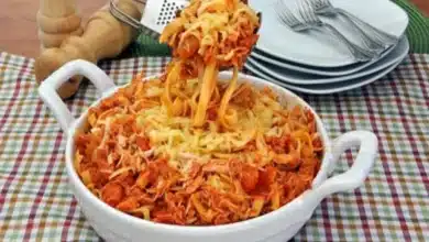 Macarrão com Frango Desfiado