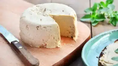 Queijo branco vegano