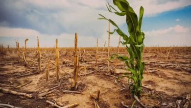 Mudanças Climáticas