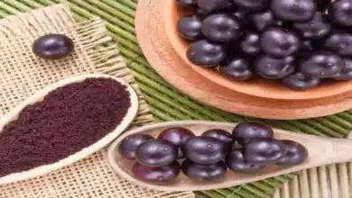 Como é Feito o Açaí