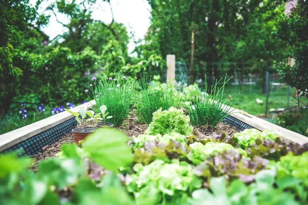 Jardim orgânico ou sustentável