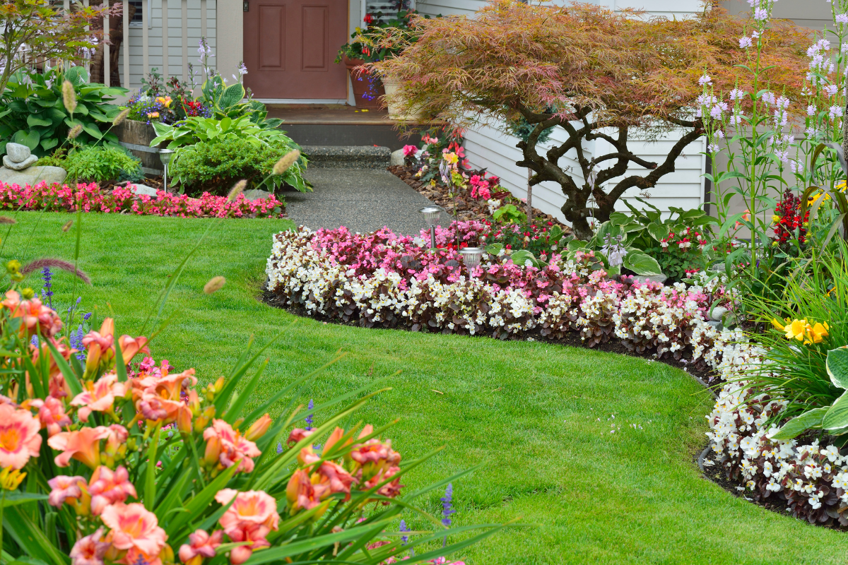 7 dicas para ter um jardim de flores deslumbrante em casa