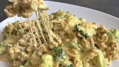 macarrão parafuso com brócolis