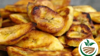 receitas fáceis com bananas