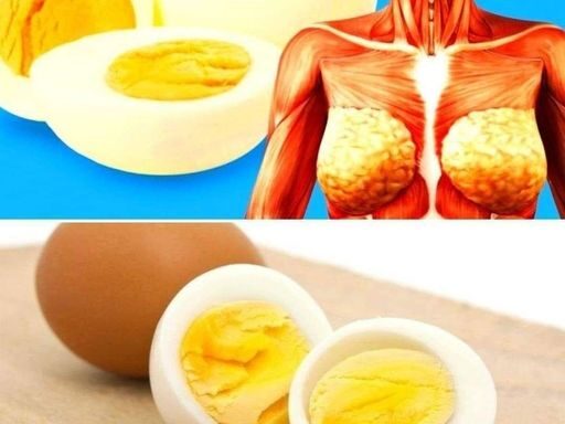 O Que Acontece ao Seu Corpo se Comer Dois Ovos por Dia: Benefícios e Considerações